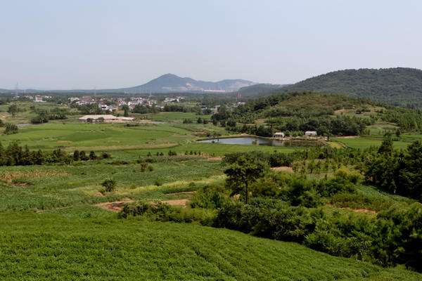 農(nóng)業(yè)品牌營(yíng)銷