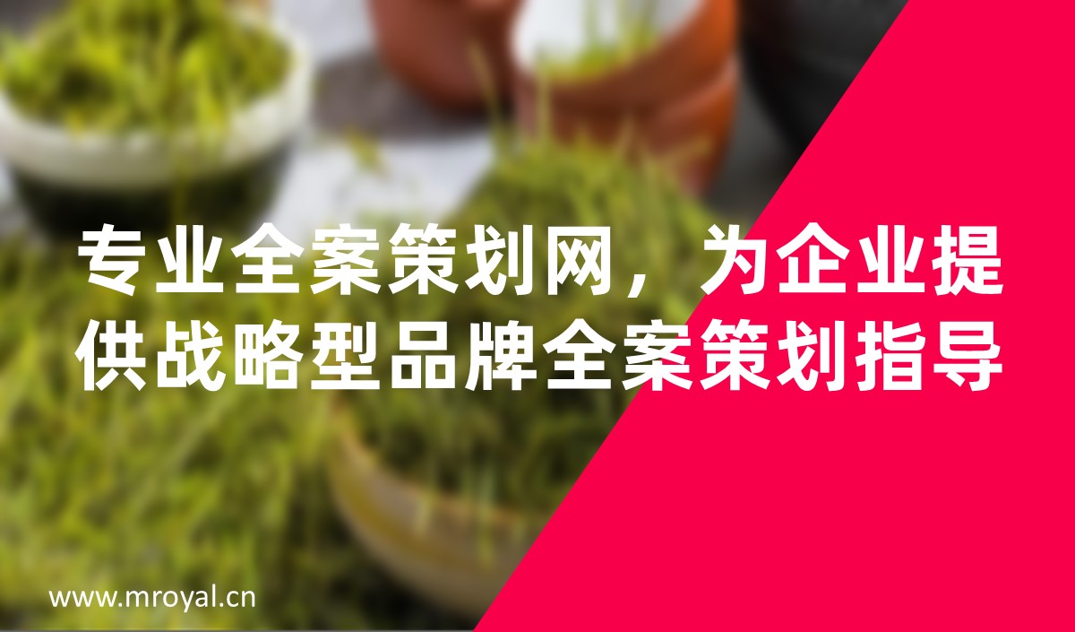 專業(yè)全案策劃網(wǎng)，為企業(yè)提供戰(zhàn)略型品牌全案策劃指導(dǎo)