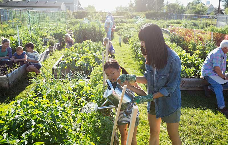 都市品牌農(nóng)業(yè)越來越受消費(fèi)者青睞_品牌農(nóng)業(yè)