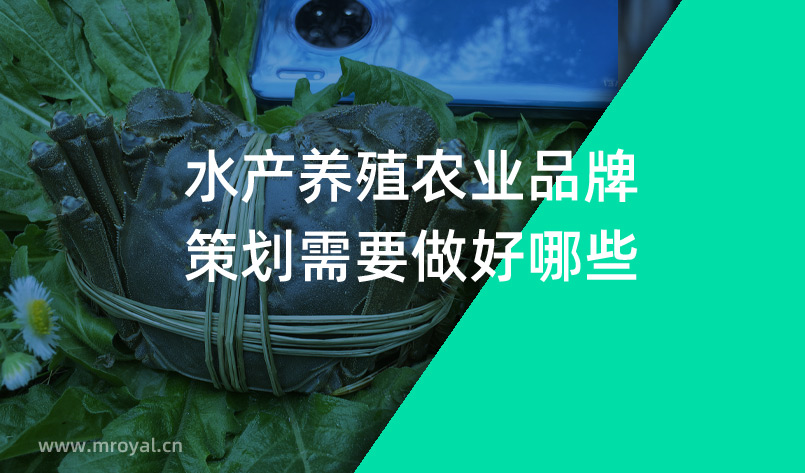 農(nóng)業(yè)品牌策劃