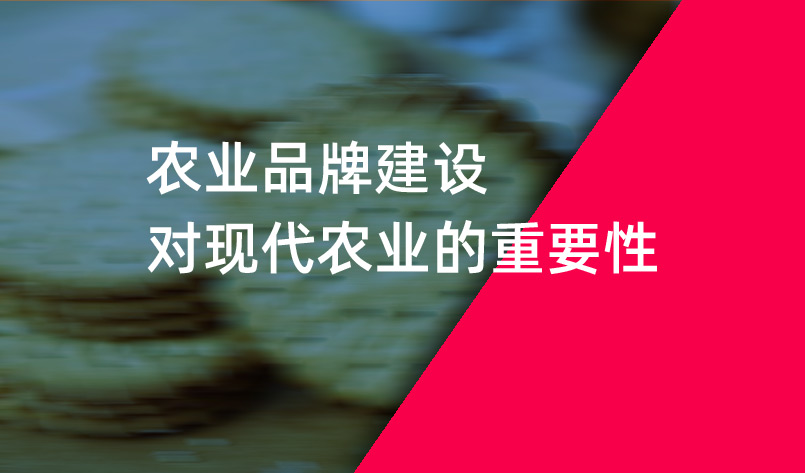 農(nóng)業(yè)品牌建設(shè)對(duì)現(xiàn)代農(nóng)業(yè)的重要性