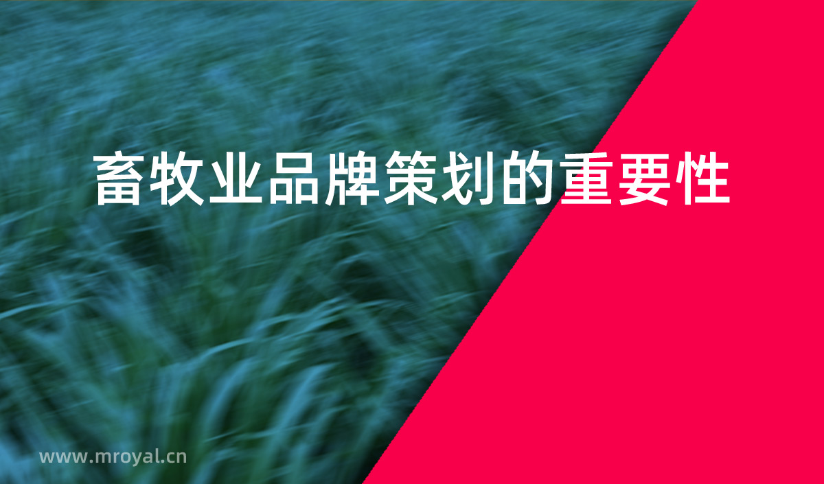 畜牧業(yè)品牌策劃的重要性，畜牧業(yè)品牌化是提高市場占有率重要手段