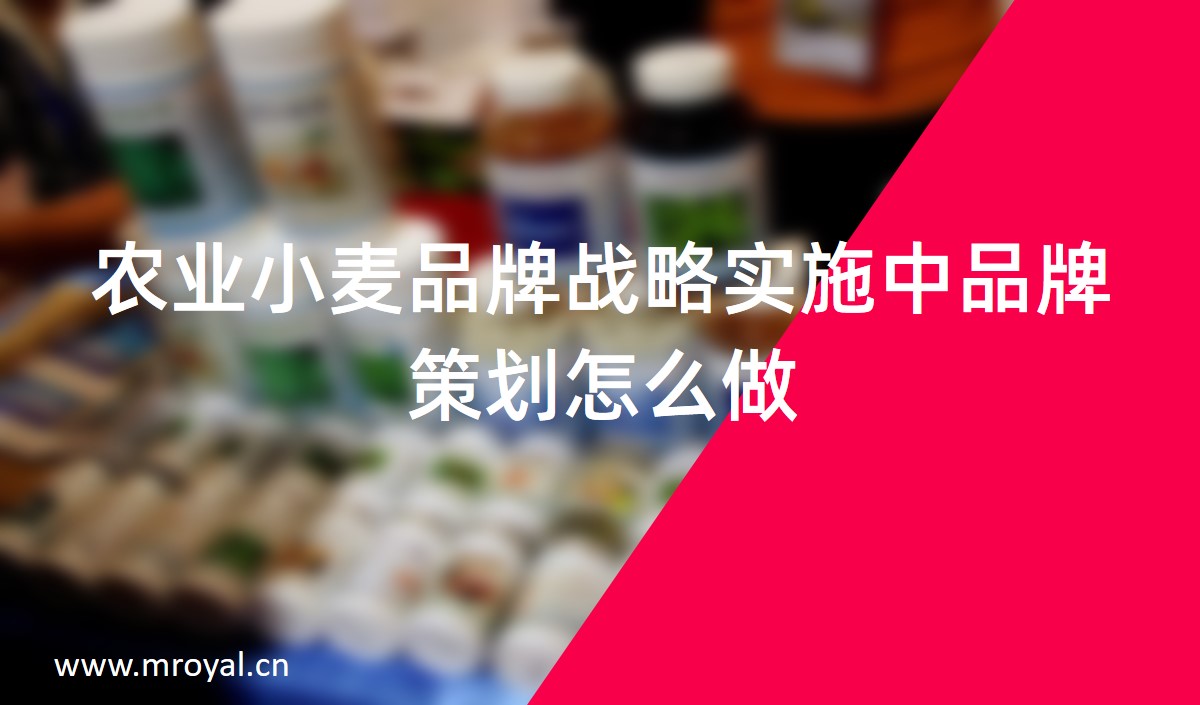 農(nóng)業(yè)小麥品牌戰(zhàn)略實(shí)施中品牌策劃怎么做