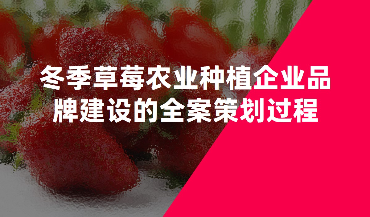 冬季草莓農(nóng)業(yè)種植企業(yè)品牌建設(shè)的全案策劃過程