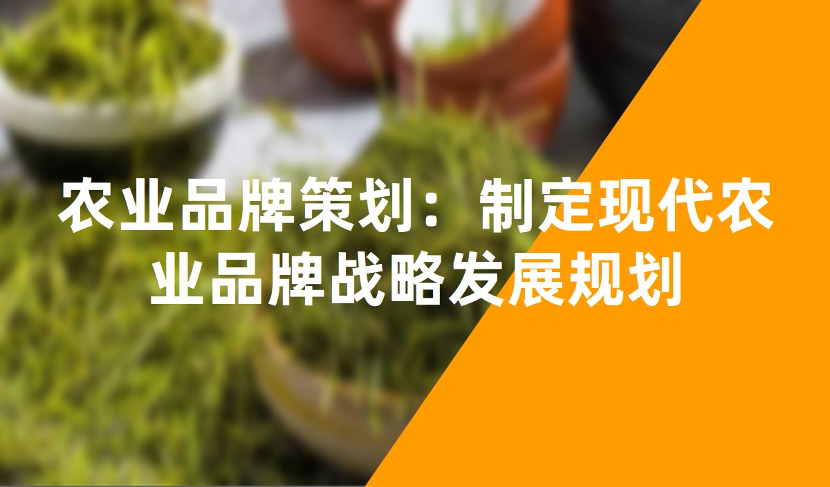 農(nóng)業(yè)品牌策劃，現(xiàn)代農(nóng)業(yè)品牌戰(zhàn)略發(fā)展規(guī)劃